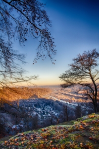 IMG_5901_HDR