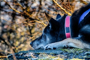 IMG_5909_HDR