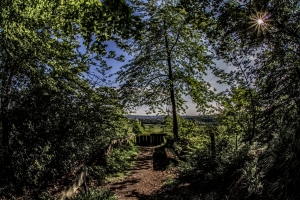 isenberg_01