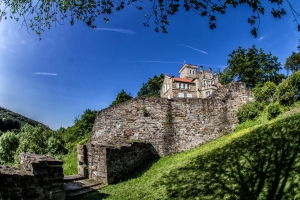 isenberg_11