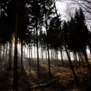 IMG_8351 als Smartobjekt-1