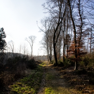 IMG_8352 als Smartobjekt-1