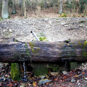 IMG_8362 als Smartobjekt-1