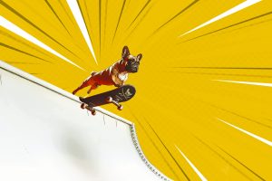 art_of_dog-12
