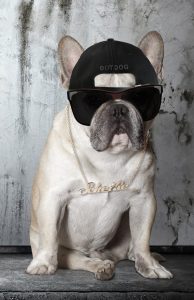 art_of_dog-13