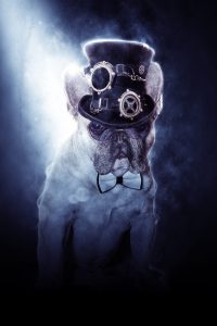 art_of_dog-14