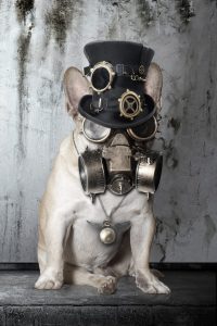 art_of_dog-15