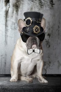 art_of_dog-16