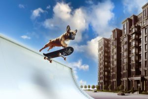 art_of_dog-17