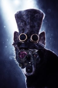 art_of_dog-18