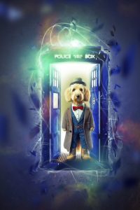 art_of_dog-3