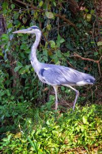 IMG_1744