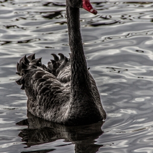 IMG_1314-als-Smartobjekt-1