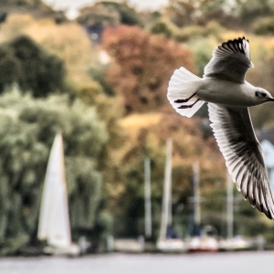 IMG_1332-als-Smartobjekt-1