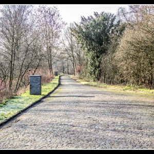 IMG_2859-als-Smartobjekt-1