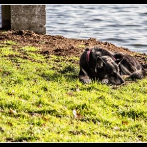 IMG_2865-als-Smartobjekt-1