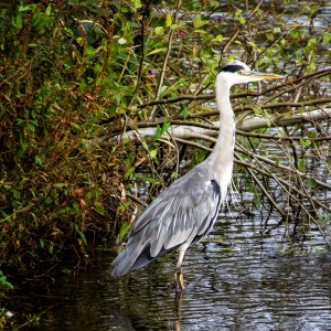 IMG_7176-als-Smartobjekt-1