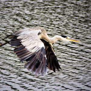 IMG_7183-als-Smartobjekt-1