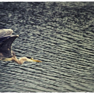 IMG_7186-als-Smartobjekt-1