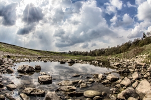 Teich_02