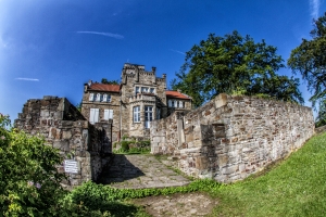 isenberg_10