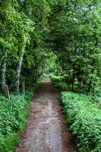 weg