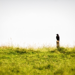 IMG_5710-als-Smartobjekt-1