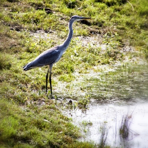 IMG_5878-als-Smartobjekt-1