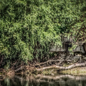 IMG_5884-als-Smartobjekt-1