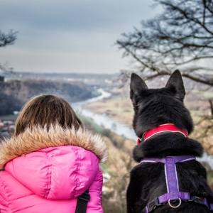 IMG_7664-als-Smartobjekt-1