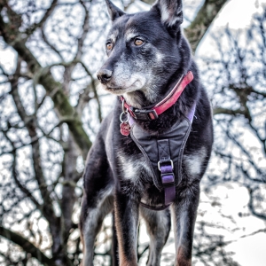 IMG_7704-als-Smartobjekt-1