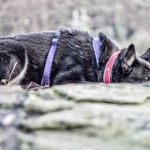 IMG_7708-als-Smartobjekt-1