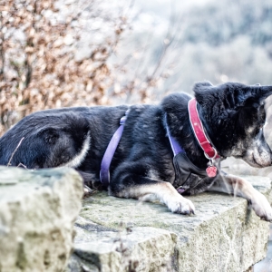 IMG_7714-als-Smartobjekt-1