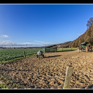 IMG_2759-als-Smartobjekt-1