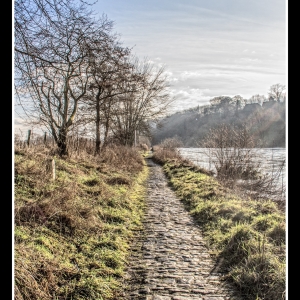 IMG_2763-als-Smartobjekt-1