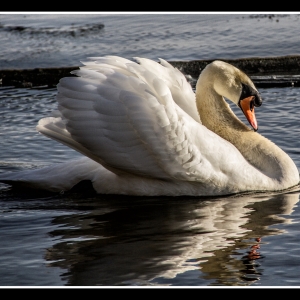 IMG_2811-als-Smartobjekt-1