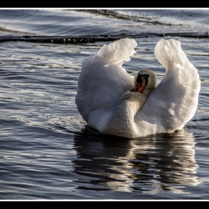 IMG_2834-als-Smartobjekt-1