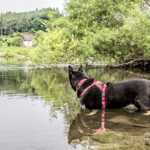 IMG_4902-als-Smartobjekt-1