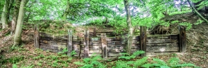 Hattingen_Wald_Panorama1