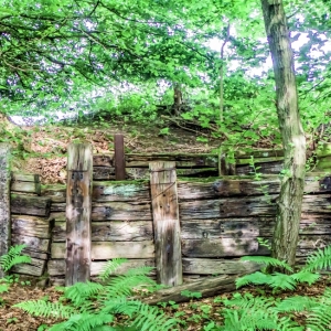 Hattingen_Wald_Panorama1
