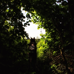 IMG_5216-als-Smartobjekt-1