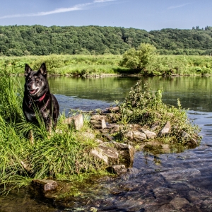 IMG_5240-als-Smartobjekt-1