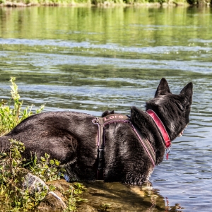 IMG_5252-als-Smartobjekt-1