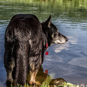 IMG_5260-als-Smartobjekt-1