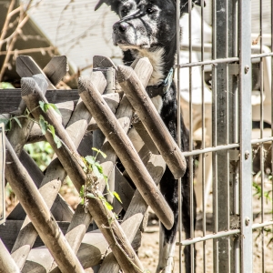 IMG_5270-als-Smartobjekt-1