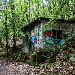 IMG_5449-als-Smartobjekt-1