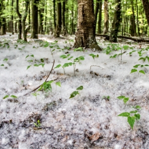 IMG_5464-als-Smartobjekt-1