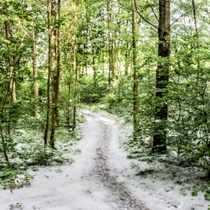 IMG_5469-als-Smartobjekt-1