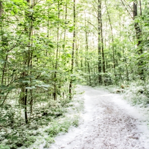 IMG_5470-als-Smartobjekt-1