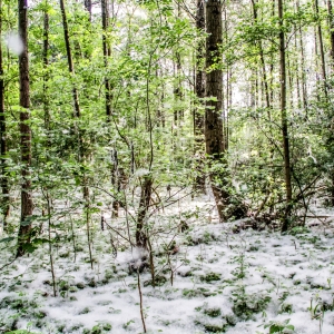 IMG_5471-als-Smartobjekt-1